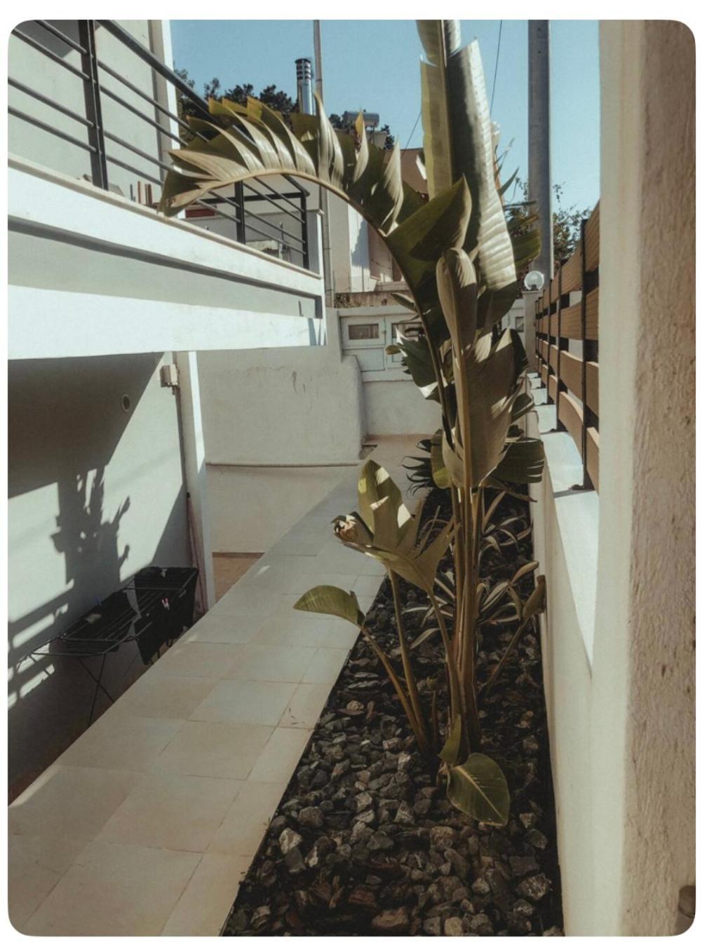 Rosemary Modern House In The City Center Corinth ภายนอก รูปภาพ